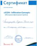 Сертификат. ICON-Infiltration Concept