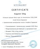 Сертификат прохождения Basic курса по технологии CAD/CAM