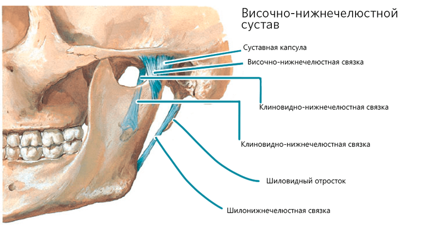 Схематичное изображение ВНЧС