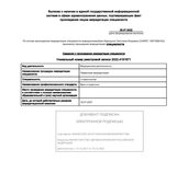Выписка о прохождении аккредитации специалиста Курицыной С.И.
