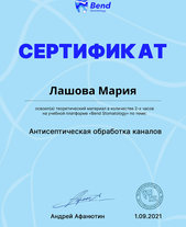 Освоение материала "Антисептическая обработка каналов"