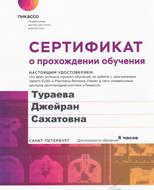 Сертификат дополнительного образования "Пикассо"